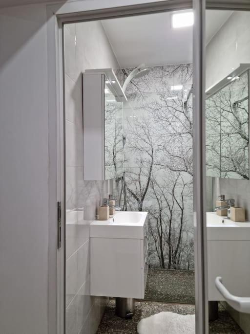 Downtown Premium Villa Brasov Luaran gambar